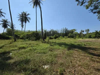 3.6 Rai Land, 100m Walk to Beach, Mai Khao, Freehold - Mai Khao, Phuket - Photo 15