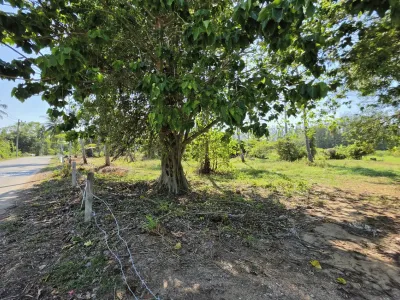 3.6 Rai Land, 100m Walk to Beach, Mai Khao, Freehold - Mai Khao, Phuket - Photo 19