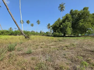 3.6 Rai Land, 100m Walk to Beach, Mai Khao, Freehold - Mai Khao, Phuket - Photo 26