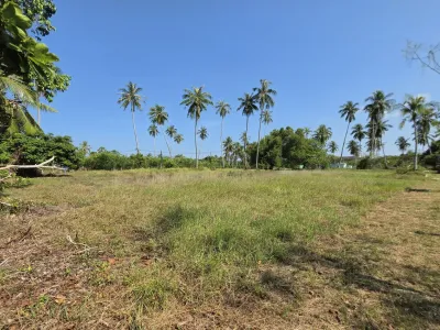 3.6 Rai Land, 100m Walk to Beach, Mai Khao, Freehold - Mai Khao, Phuket - Photo 9