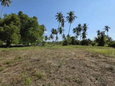 3.6 Rai Land, 100m Walk to Beach, Mai Khao, Freehold - Mai Khao, Phuket - Photo 8