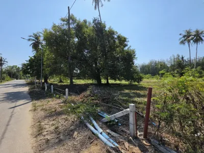 3.6 Rai Land, 100m Walk to Beach, Mai Khao, Freehold - Mai Khao, Phuket - Photo 17
