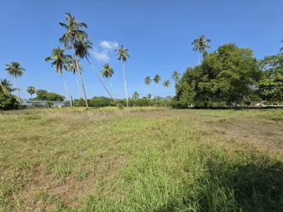 3.6 Rai Land, 100m Walk to Beach, Mai Khao, Freehold - Mai Khao, Phuket - Photo 11