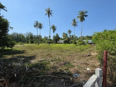 3.6 Rai Land, 100m Walk to Beach, Mai Khao, Freehold - Mai Khao, Phuket - Photo 16