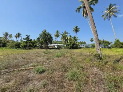 3.6 Rai Land, 100m Walk to Beach, Mai Khao, Freehold - Mai Khao, Phuket - Photo 6