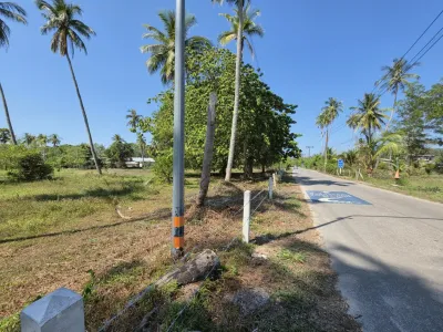 3.6 Rai Land, 100m Walk to Beach, Mai Khao, Freehold - Mai Khao, Phuket - Photo 23