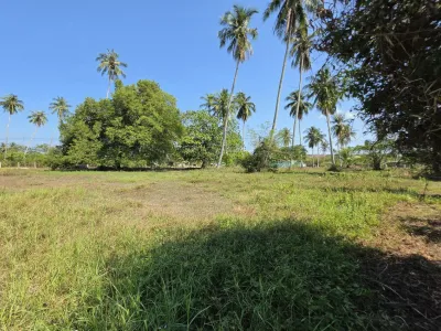 3.6 Rai Land, 100m Walk to Beach, Mai Khao, Freehold - Mai Khao, Phuket - Photo 27