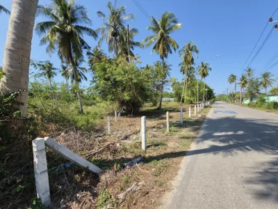 3.6 Rai Land, 100m Walk to Beach, Mai Khao, Freehold - Mai Khao, Phuket - Photo 22