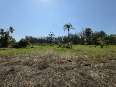 3.6 Rai Land, 100m Walk to Beach, Mai Khao, Freehold - Mai Khao, Phuket - Photo 7