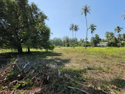 3.6 Rai Land, 100m Walk to Beach, Mai Khao, Freehold - Mai Khao, Phuket - Photo 2