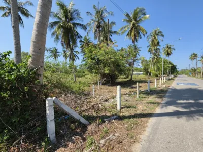 3.6 Rai Land, 100m Walk to Beach, Mai Khao, Freehold - Mai Khao, Phuket - Photo 21