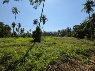 3.6 Rai Land, 100m Walk to Beach, Mai Khao, Freehold - Mai Khao, Phuket - Photo 13