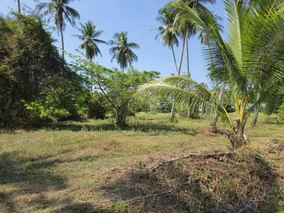 3.6 Rai Land, 100m Walk to Beach, Mai Khao, Freehold - Mai Khao, Phuket - Photo 3