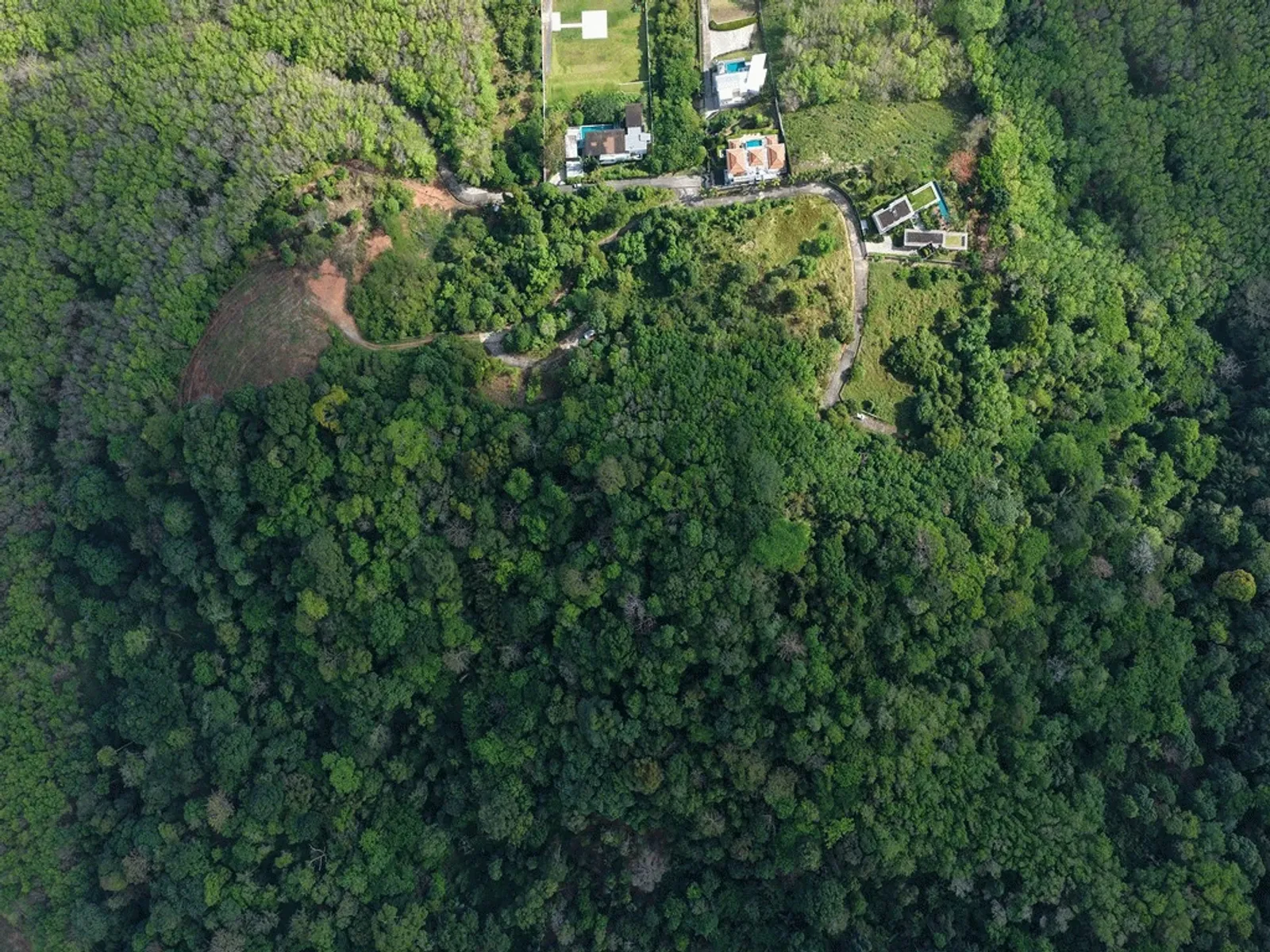7.14 Rai Sea View Land for Sale, Baan Para, Pa Klok, Freehold - Pa Klok, Phuket - Photo 3