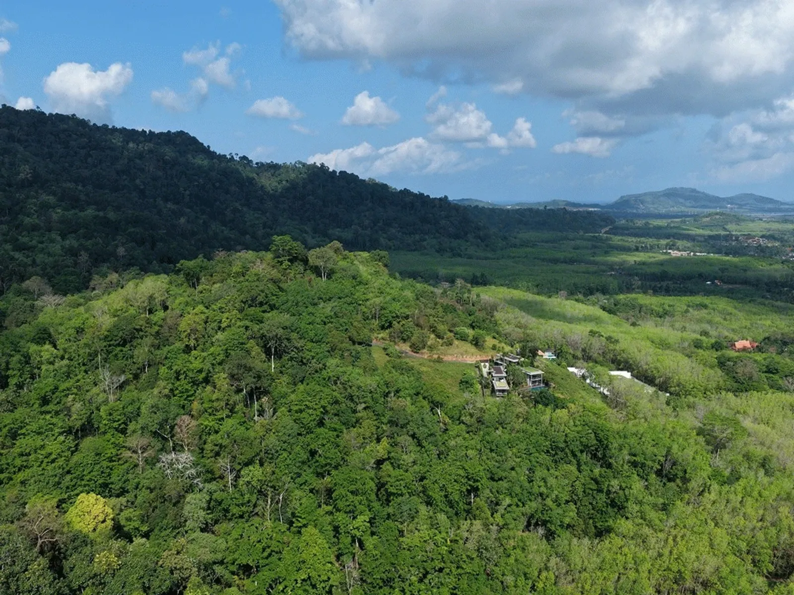 7.14 Rai Sea View Land for Sale, Baan Para, Pa Klok, Freehold - Pa Klok, Phuket - Photo 10