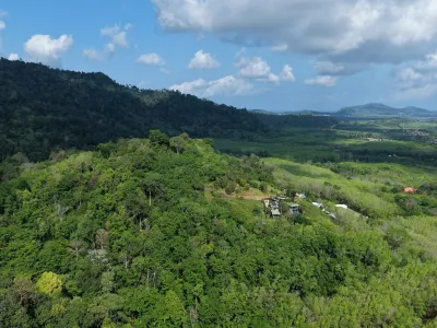 7.14 Rai Sea View Land for Sale, Baan Para, Pa Klok, Freehold - Pa Klok, Phuket - Photo 10