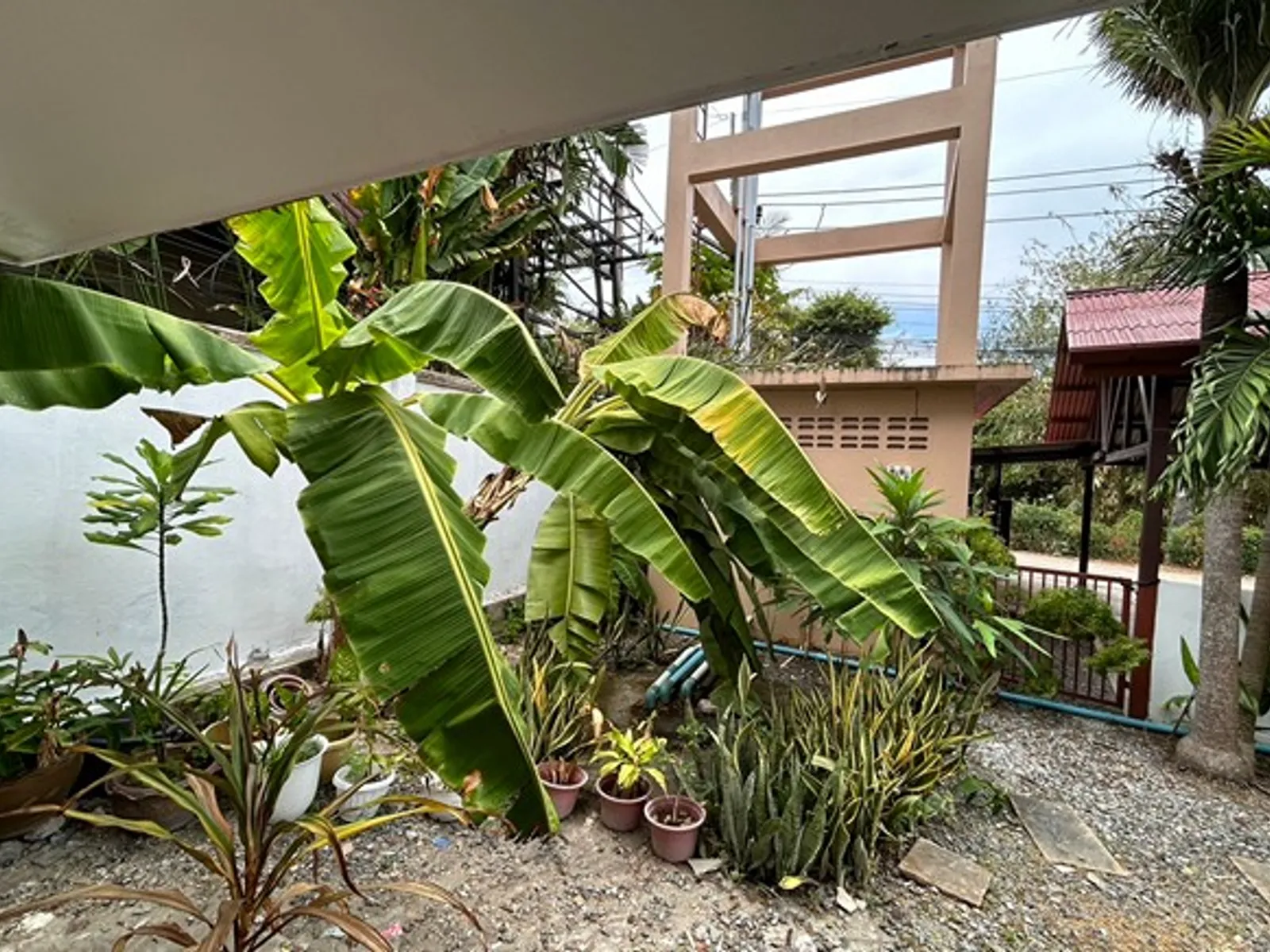 拉威三居室私人泳池别墅出租 - Rawai, Phuket - 图片 32