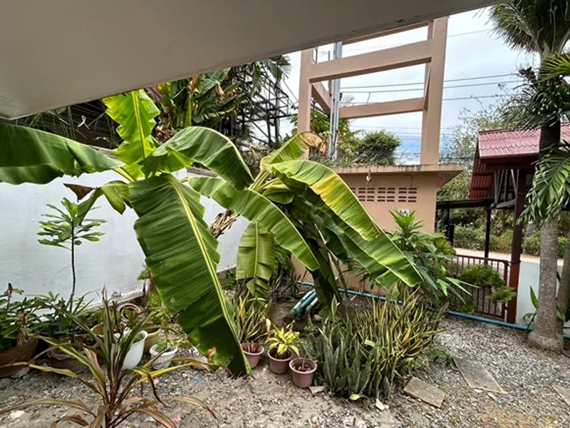 拉威三居室私人泳池别墅出租 - Rawai, Phuket - 主图