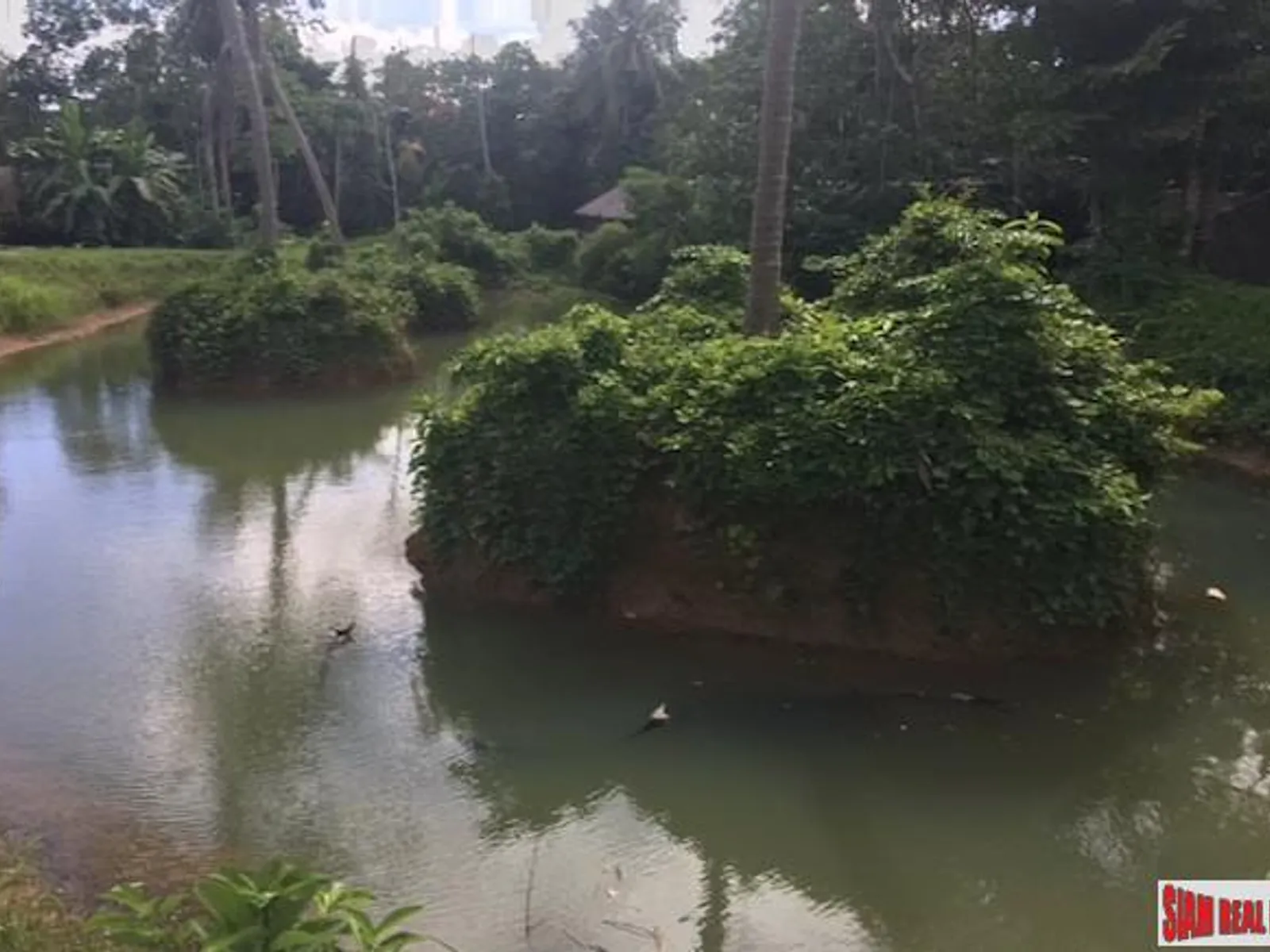 3 Rai Sub-Divided Land for Sale, Koh Maprao, Coconut Island - Koh Maprao, Phuket - Photo 8