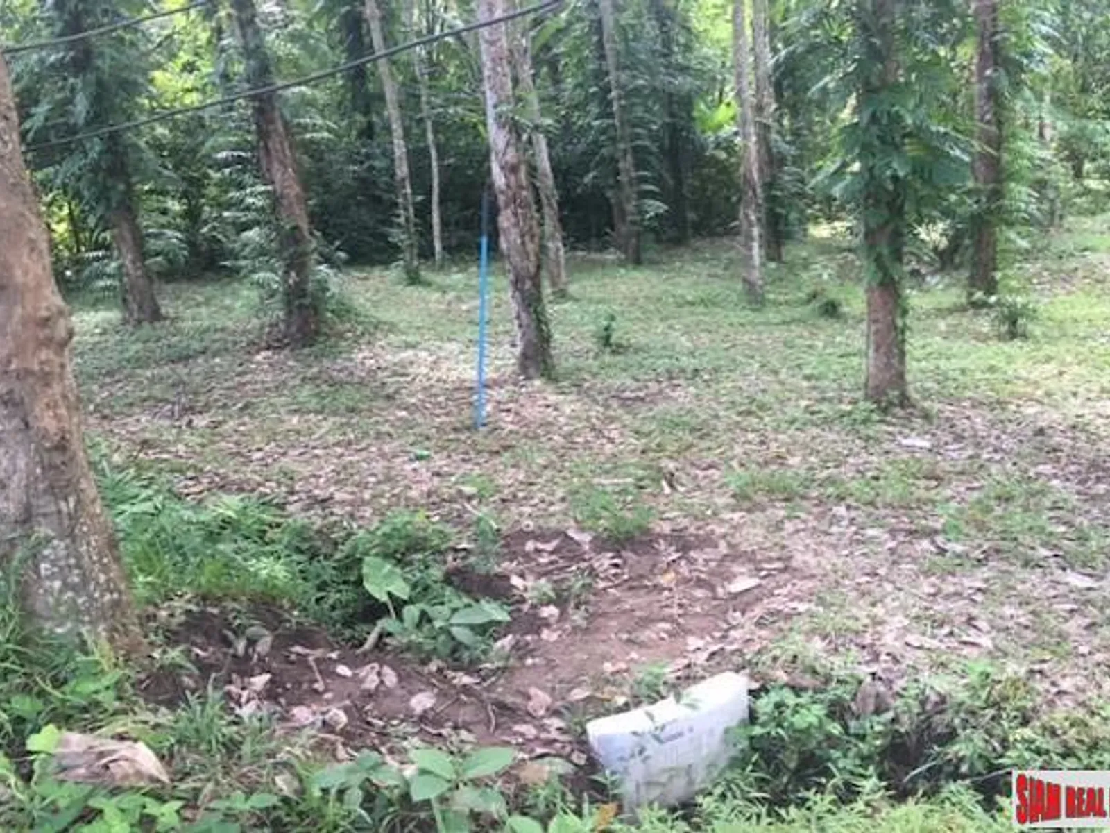 3 Rai Sub-Divided Land for Sale, Koh Maprao, Coconut Island - Koh Maprao, Phuket - Photo 9