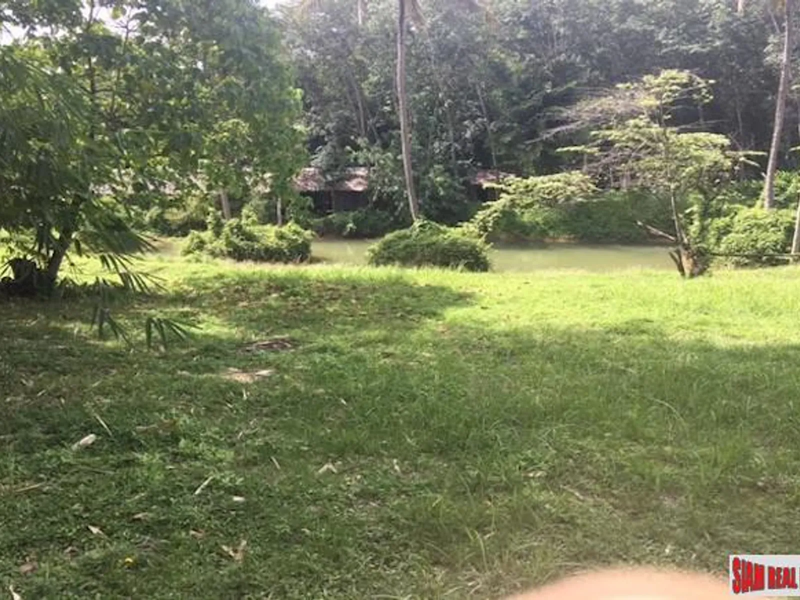 3 Rai Sub-Divided Land for Sale, Koh Maprao, Coconut Island - Koh Maprao, Phuket - Photo 7