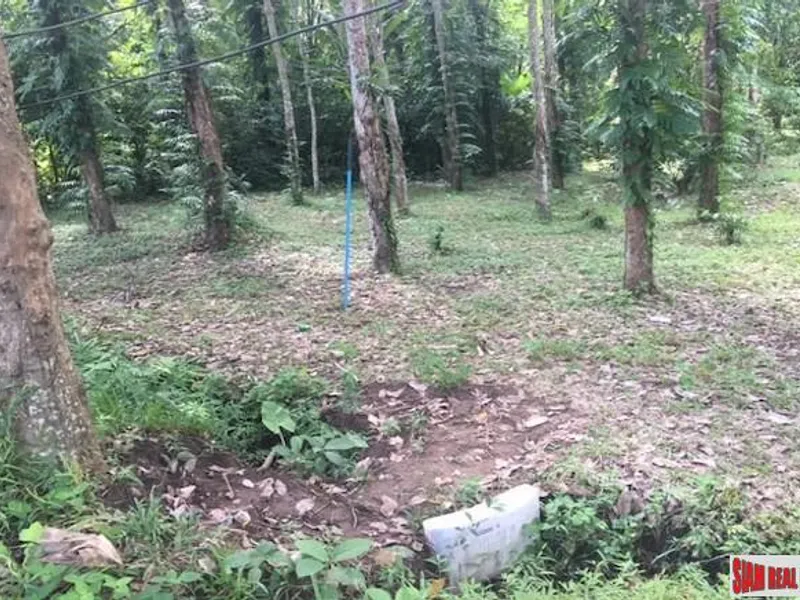 3 Rai Sub-Divided Land for Sale, Koh Maprao, Coconut Island - Koh Maprao, Phuket - Main photo