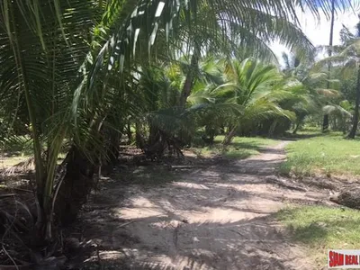 3 Rai Sub-Divided Land for Sale, Koh Maprao, Coconut Island - Koh Maprao, Phuket - See all photos