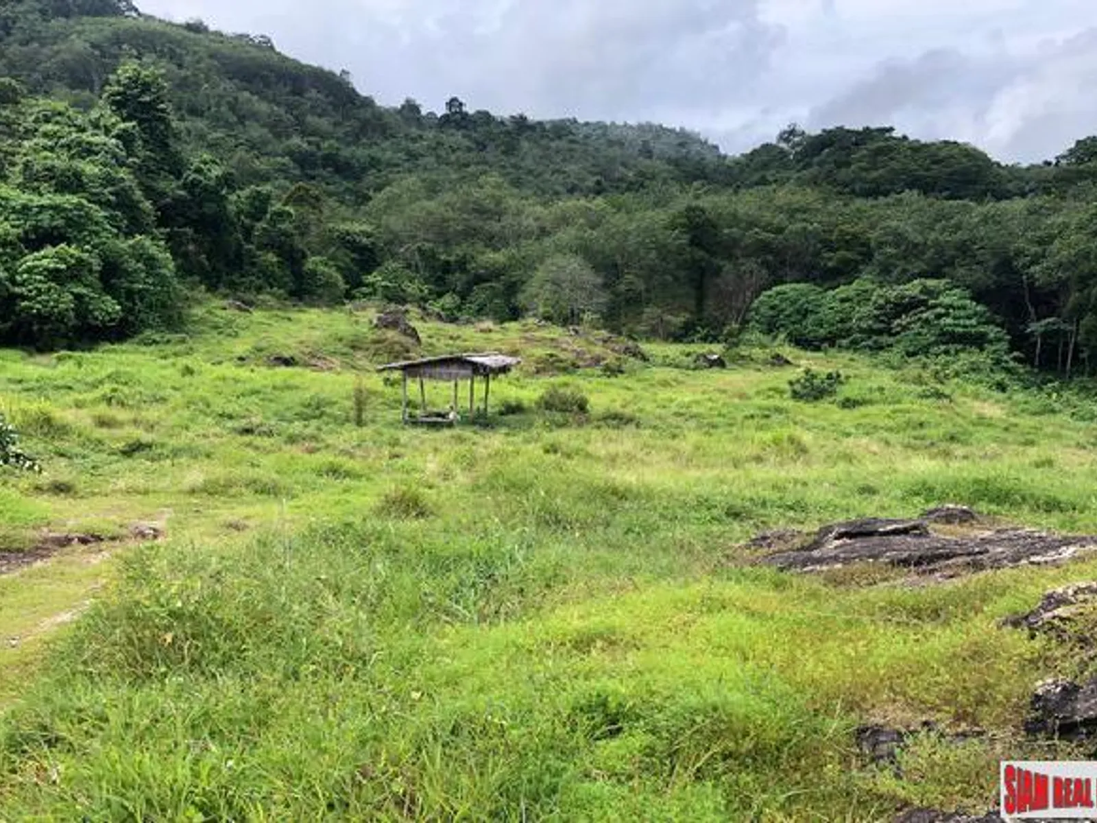 5 Rai Cleared Land for Sale, Chalong, Overlooks Dam - Chalong, Phuket - Photo 1