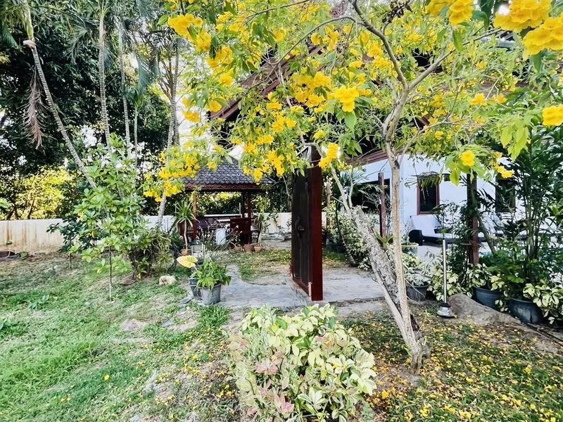 4-Bedroom Thai Teak Pool Villa for Rent, Rawai - Rawai, Phuket - Main photo