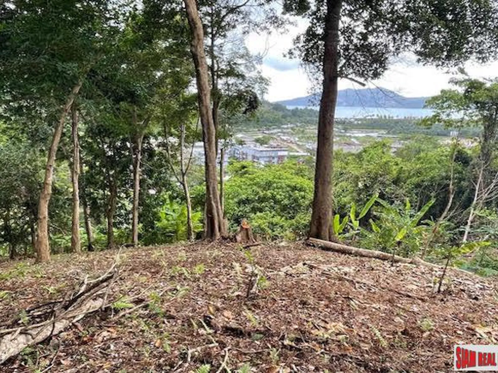 10 Rai Sea View Land Overlooking Patong Bay, Freehold - Patong, Phuket - Photo 6