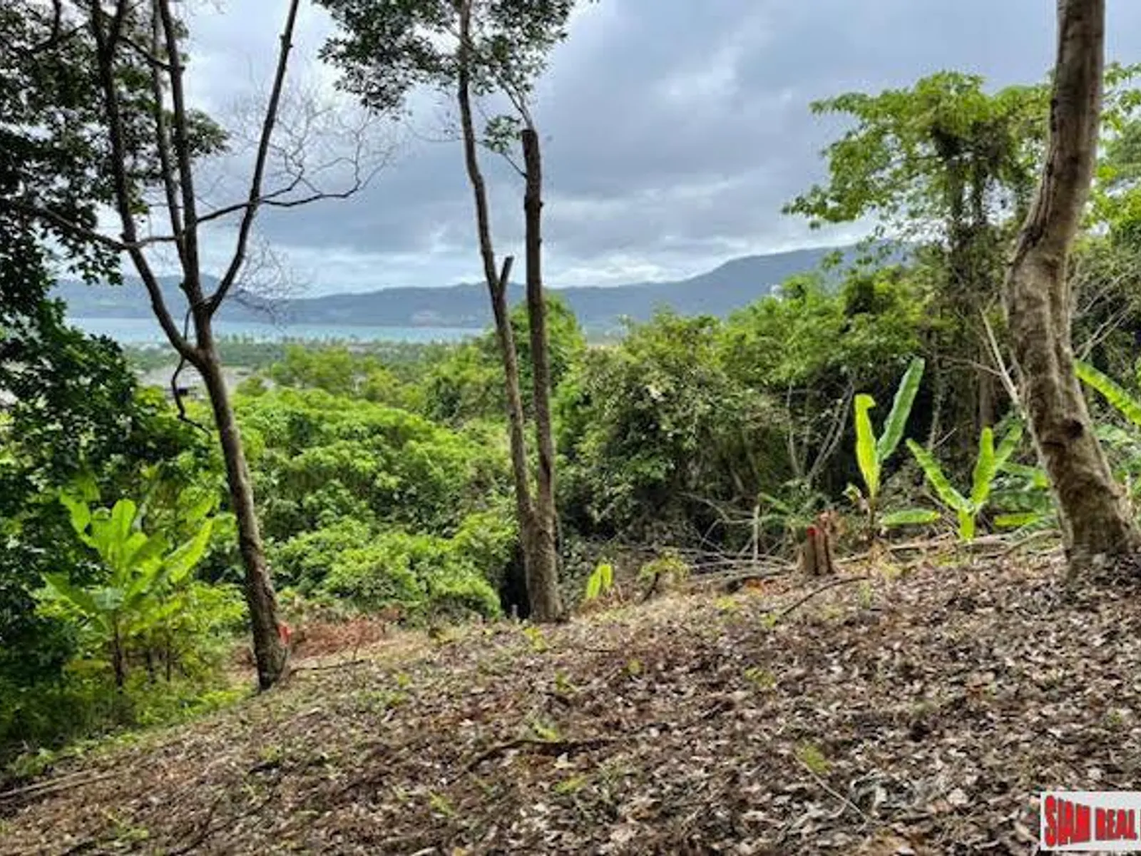 10 Rai Sea View Land Overlooking Patong Bay, Freehold - Patong, Phuket - Photo 4