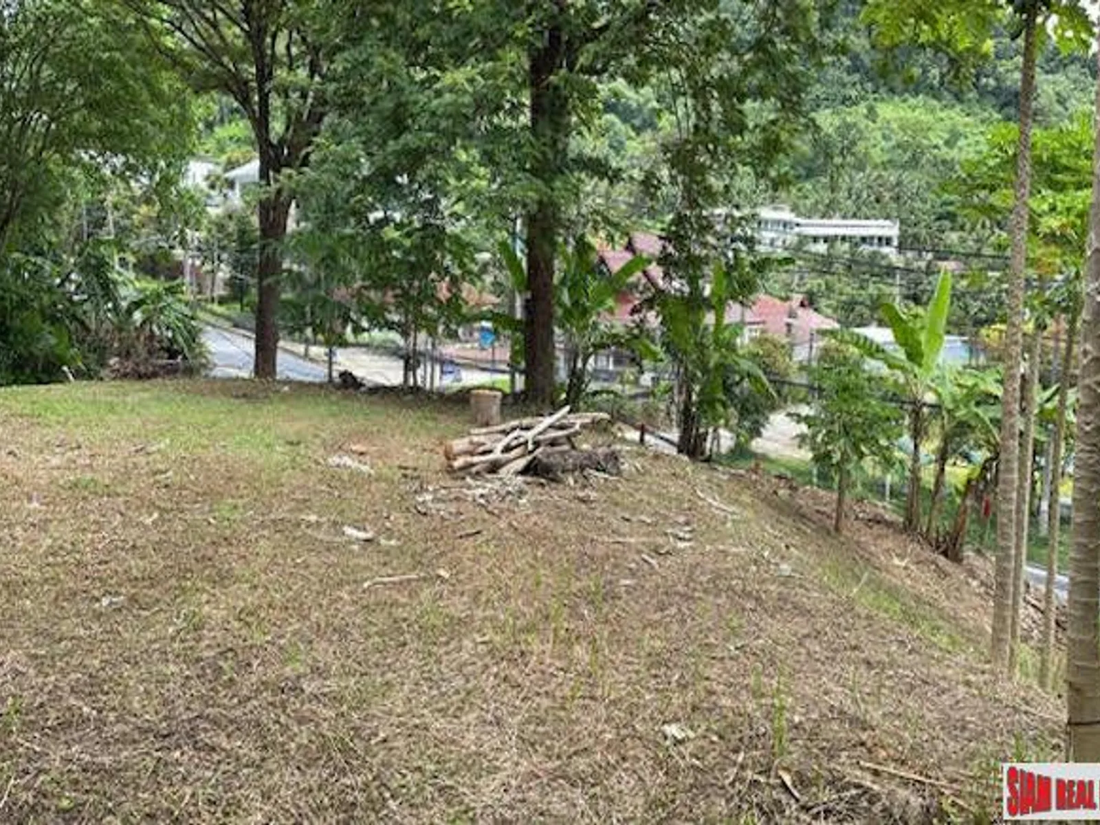 10 Rai Sea View Land Overlooking Patong Bay, Freehold - Patong, Phuket - Photo 2
