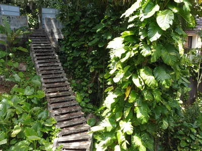 850 sqm Beachfront Land, 20m Beach Frontage, Nai Thon, Freehold - Nai Thon, Phuket - Photo 12