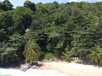 850 sqm Beachfront Land, 20m Beach Frontage, Nai Thon, Freehold - Nai Thon, Phuket - Photo 7