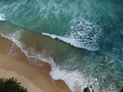 850 sqm Beachfront Land, 20m Beach Frontage, Nai Thon, Freehold - Nai Thon, Phuket - Photo 8