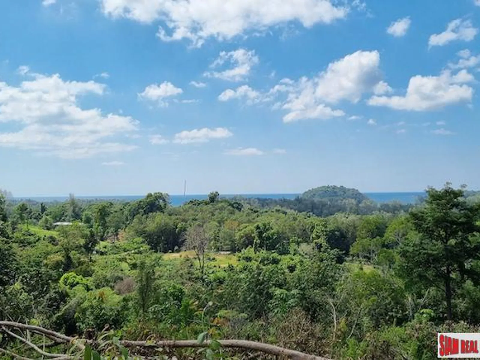 13.9 Rai Sea View Land, Freehold, Layan Beach - Layan, Phuket - Photo 4