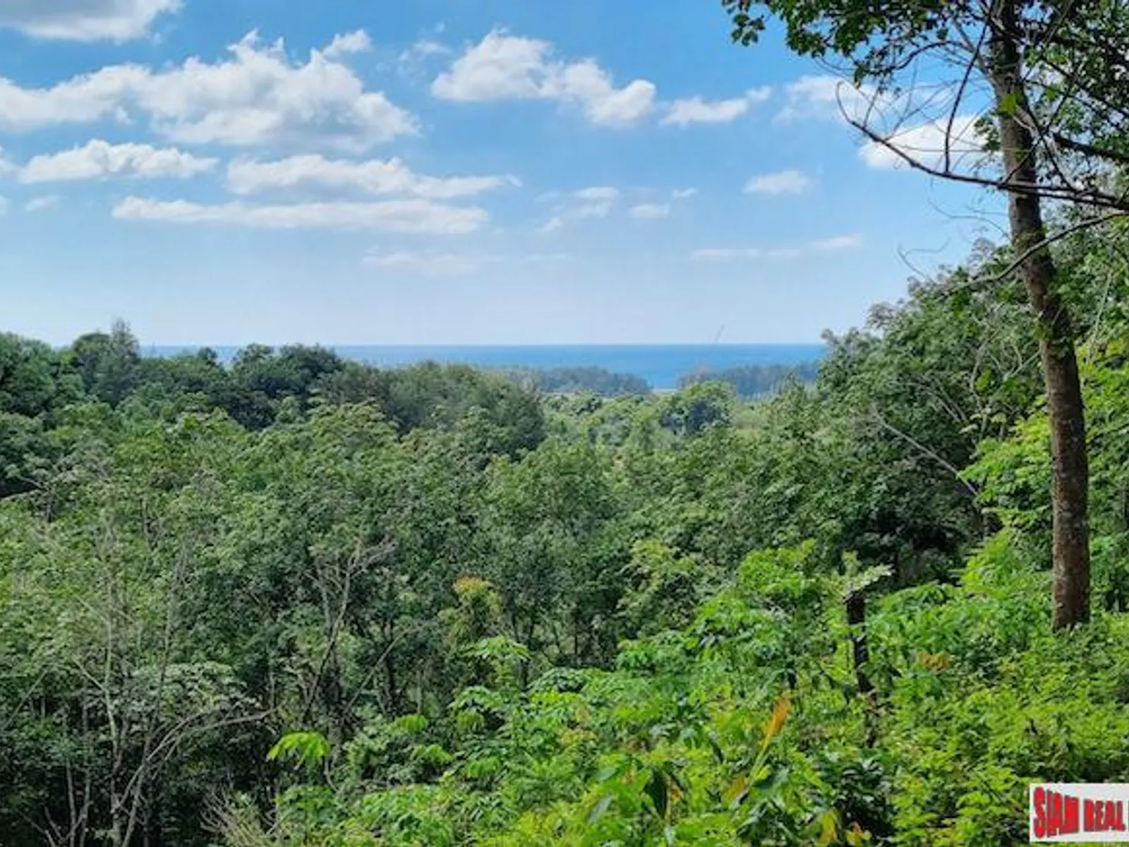13.9 Rai Sea View Land, Freehold, Layan Beach - Layan, Phuket - Photo 6