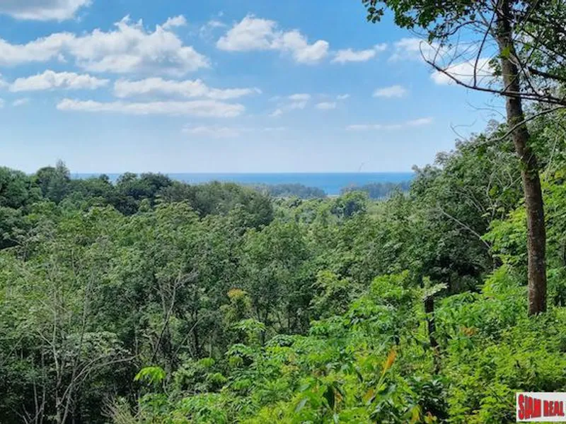 13.9 Rai Sea View Land, Freehold, Layan Beach - Layan, Phuket - Main photo