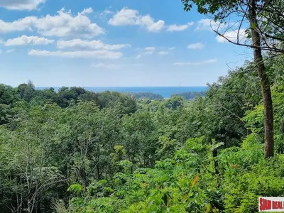 13.9 Rai Sea View Land, Freehold, Layan Beach - Layan, Phuket - Photo 6