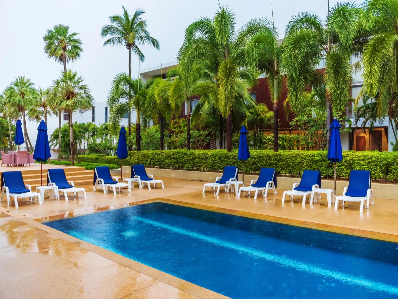 Lotus Gardens, 2-Bedroom Apartment for Sale, Layan - Layan, Phuket - Photo 13