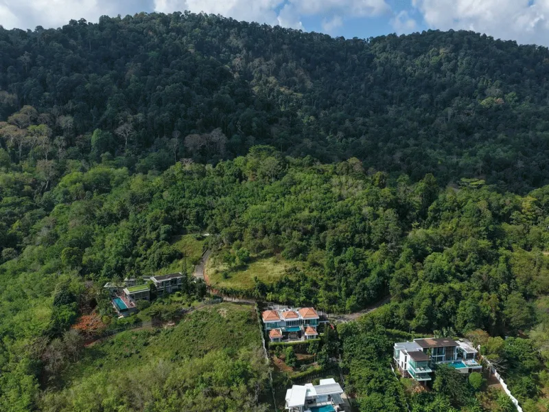 13 Rai Panoramic Sea View Hillside Land, Pa Klok, Freehold - Pa Klok, Phuket - Main photo