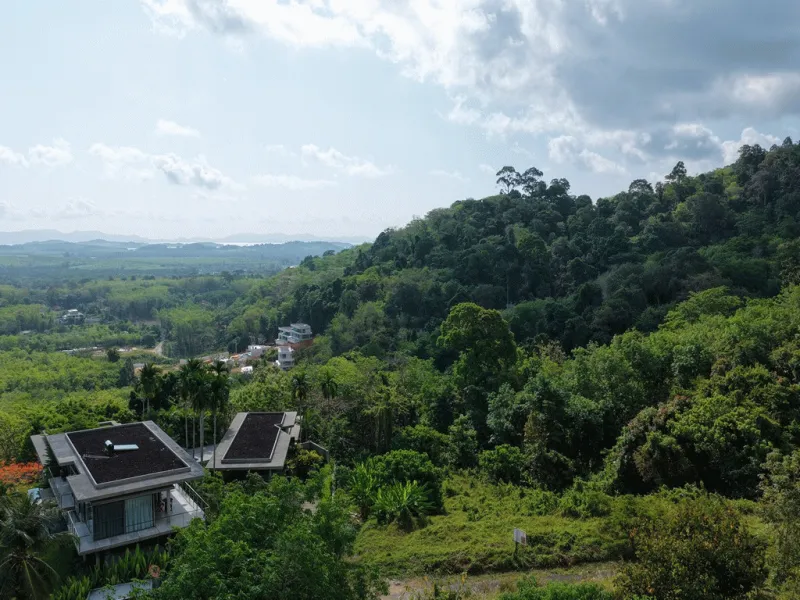 13 Rai Panoramic Sea View Hillside Land, Pa Klok, Freehold - Pa Klok, Phuket - Main photo