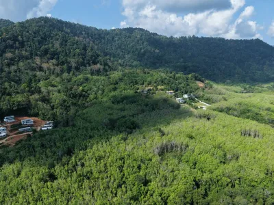 13 Rai Panoramic Sea View Hillside Land, Pa Klok, Freehold - Pa Klok, Phuket - Photo 6