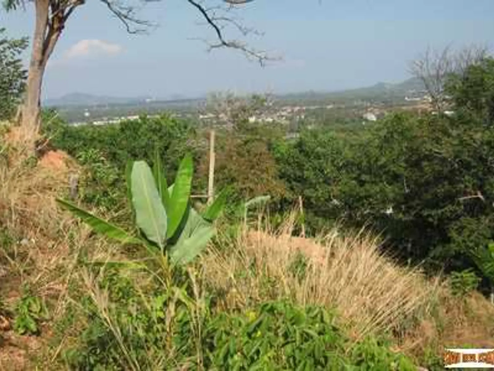 1.5 Rai Sea View Land, Chalong Bay, Freehold - Chalong, Phuket - Photo 2