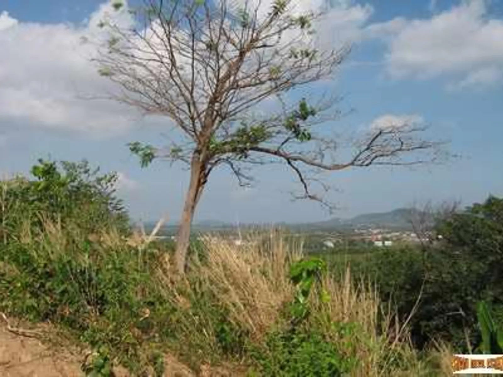 1.5 Rai Sea View Land, Chalong Bay, Freehold - Chalong, Phuket - Photo 3