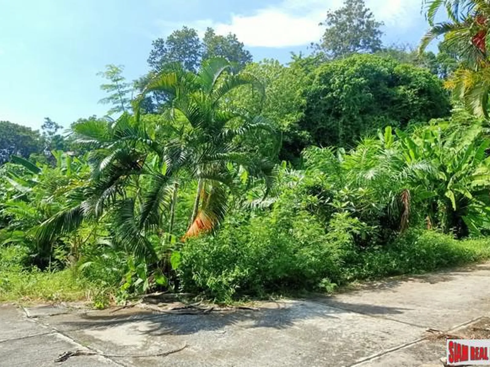 1.8 Rai Sea View Hillside Land for Sale, Chalong - Chalong, Phuket - Photo 21