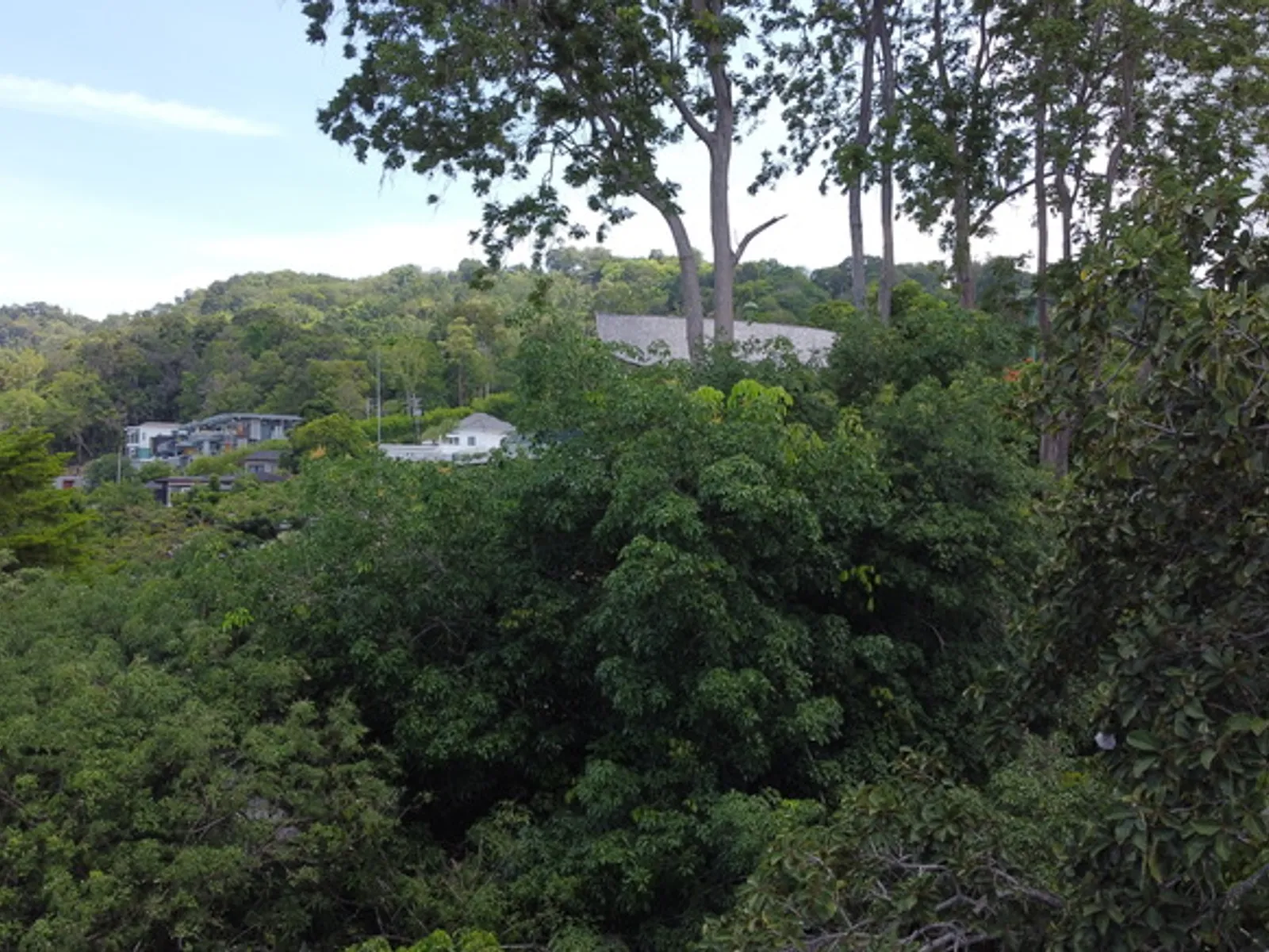 1.8 Rai Sea View Hillside Land for Sale, Chalong - Chalong, Phuket - Photo 32