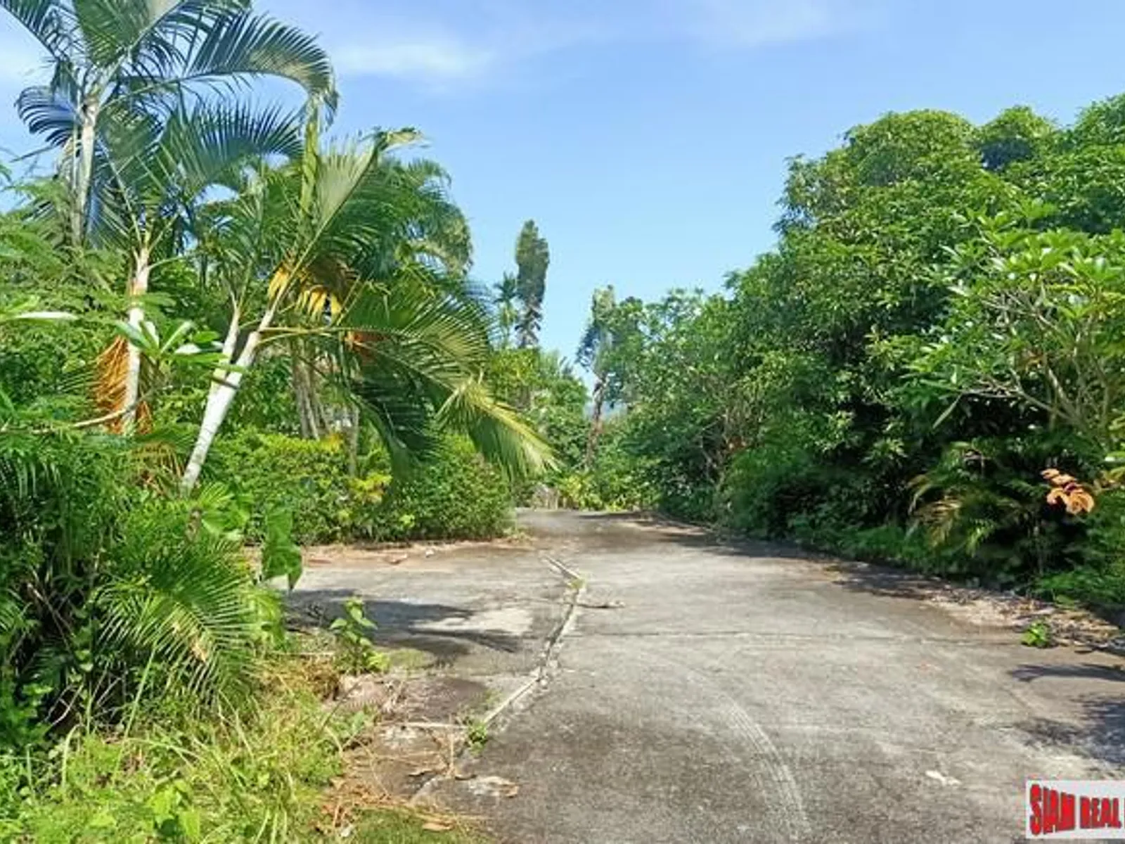 1.8 Rai Sea View Hillside Land for Sale, Chalong - Chalong, Phuket - Photo 22