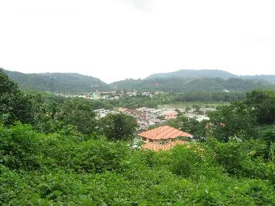 6 Rai Hillside Land for Sale, Kathu, Phuket - Kathu, Phuket - Photo 4