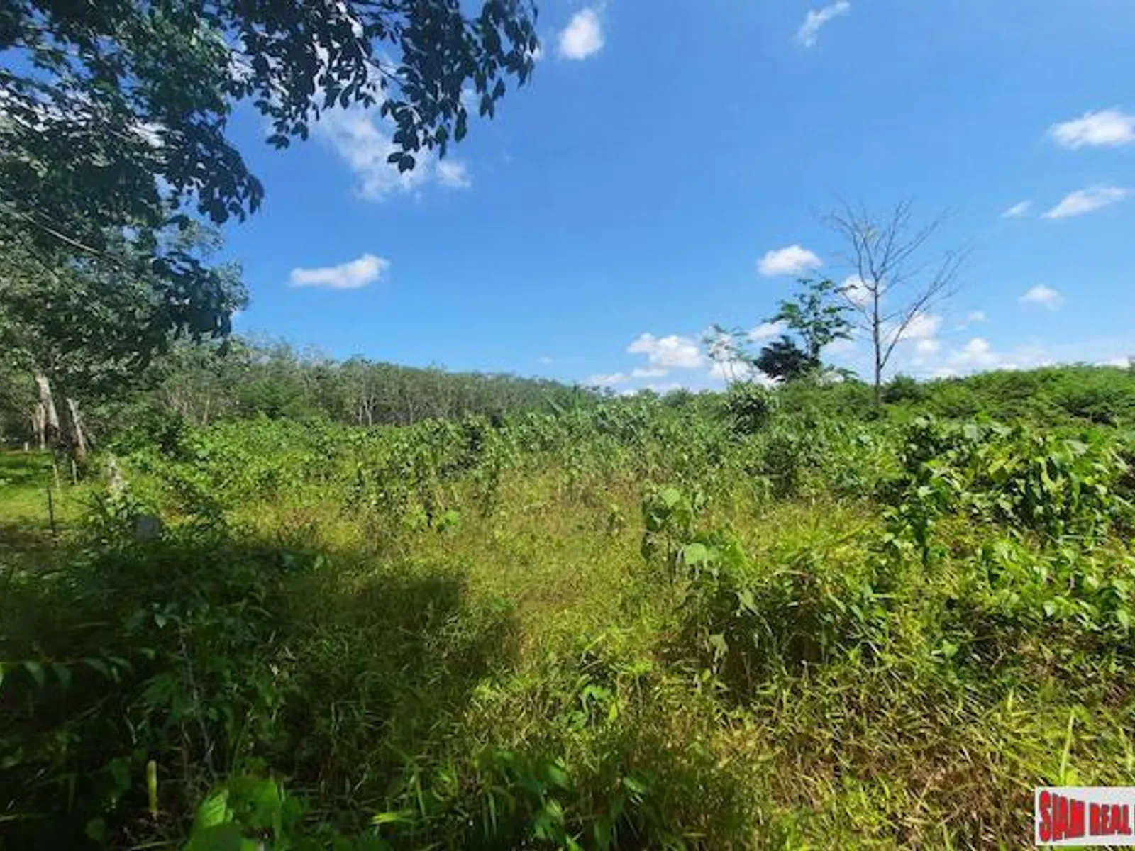8,884 sqm Prime Land for Sale, Thalang, Near Main Road - Thalang, Phuket - Photo 1